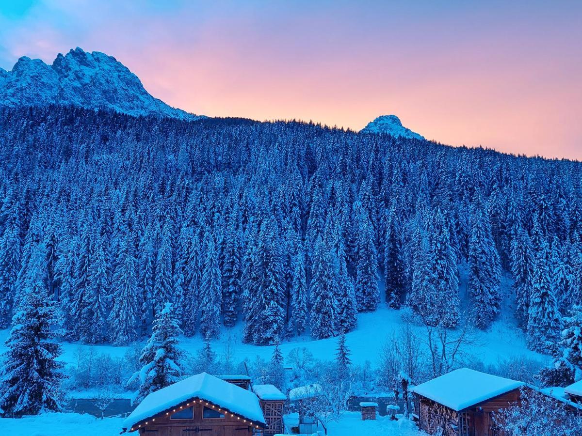 B&B A Ceda Toa San Pietro di Cadore Eksteriør bilde