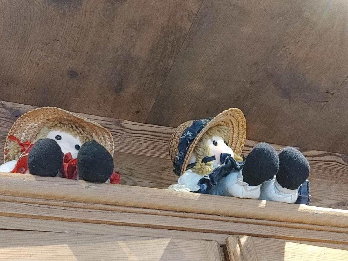 B&B A Ceda Toa San Pietro di Cadore Eksteriør bilde
